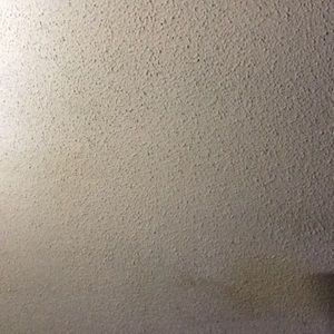 Meet your Posher, Alma